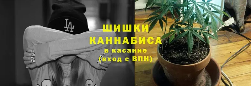 даркнет сайт  Кирс  Шишки марихуана SATIVA & INDICA 